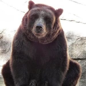 Meet your Posher, Florina